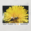 Search for awesomeness postcards Nature