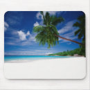 Search for seychelles mouse mats Beach