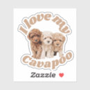 Search for goldendoodle puppy stickers Poodle