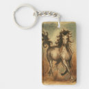 Search for arabian horse accessories Stallion