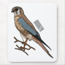 Search for birds of prey electronics Falcon