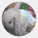 Search for kawaii babies stickers Bunny