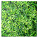 Search for leaf texture tiles Background