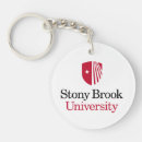 Search for stony key rings Sbu