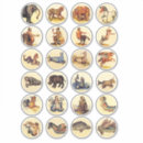 Search for beast stickers Folklore