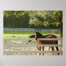 Search for pasture art Horses