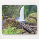 Search for gorge mouse mats Columbia river gorge