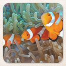 Search for clown barware Fish