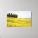 Search for cypress canvas prints Sky