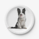 Search for border collie plates Cute