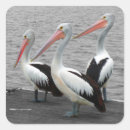 Search for sea birds stickers Animal