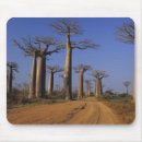 Search for avenue mouse mats Nature