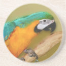 Search for macaws coasters Cute