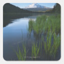 Search for idyllic stickers Forest