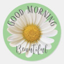 Search for green daisy stickers Floral