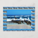 Search for seabirds postcards Landscape