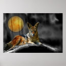 Search for zoo kids posters Fox