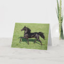 Search for black tailed cards Animal