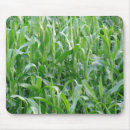 Search for cornfield mouse mats Farm