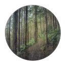 Search for tree wood cookware Forest