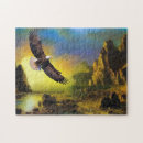 Search for flying eagle Landscape