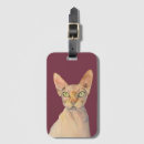 Search for hairless accessories Sphynx cat