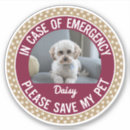 Search for in case of emergency stickers Alert