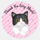 Search for cute cat graphic stickers White