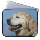 Search for flat coated retriever electronics Canine photographer