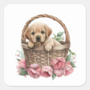 Search for labrador retriever puppy stickers Pet