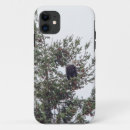 Search for eagle feather electronics Wildlife