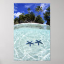 Search for seclude posters Remote
