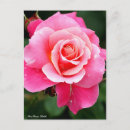 Search for princesse postcards For her