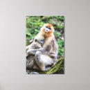 Search for nose canvas prints Wildlife