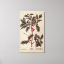 Search for berries canvas prints Plant
