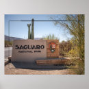 Search for saguaro posters Sonoran desert