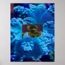 Search for fiji art Coral