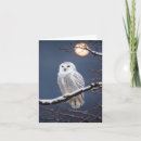 Search for snowy note cards Owl