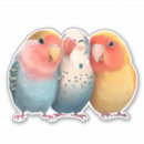 Search for big bird face stickers Animal