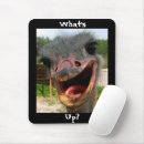 Search for ostrich mouse mats Nature