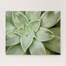 Search for succulent puzzles Flowers