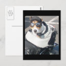 Search for dog on motorcycle postcards Animal
