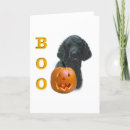 Search for dog coat cards Black