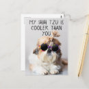 Search for cooler postcards Dog