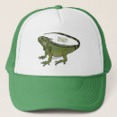 Search for reptile hats Iguana