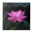 Search for lotus tiles Water lily