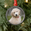 Search for mixed breed dog christmas tree decorations Animal