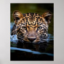Search for leopard art Cat