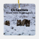 Search for grizzly bears christmas tree decorations Animals