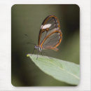 Search for animal glasses mouse mats Wildlife